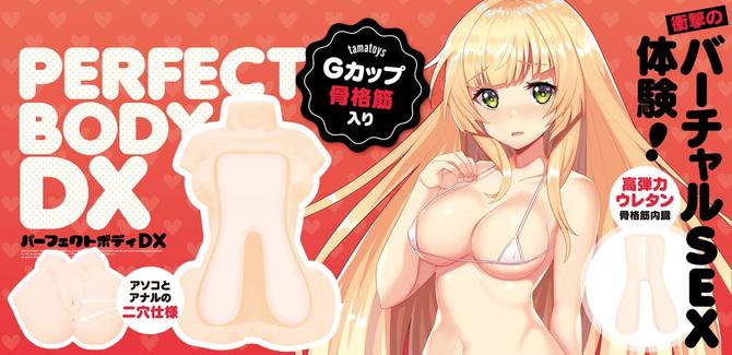 パーフェクトボディDX  Gカップ骨格筋入り10Kg	TAMS-370 商品説明画像16