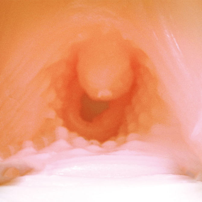 竜騎士Bloody Saga PREMIUM HOLE メア     FRNT-117 商品説明画像6