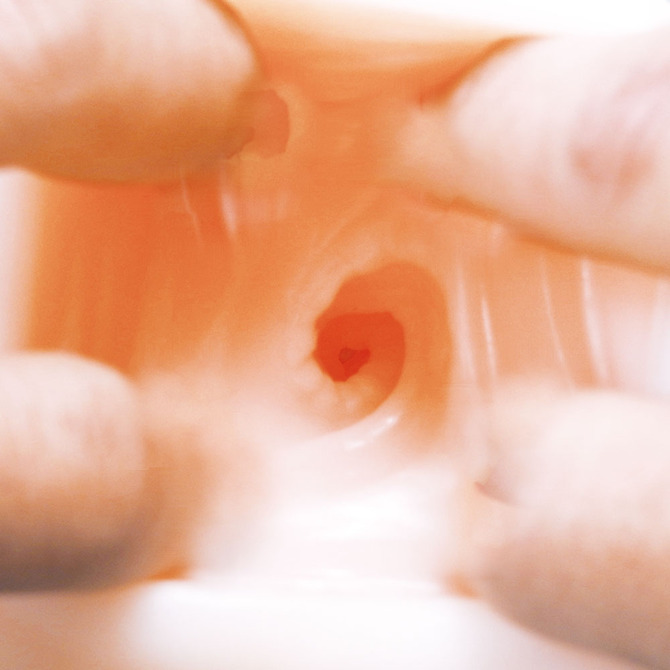 竜騎士Bloody Saga PREMIUM HOLE アレーナ     FRNT-118 商品説明画像6
