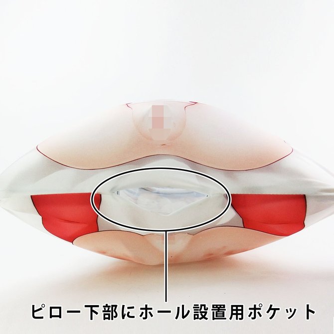 エア・ドリームカバー No.6 柚十扇《550mm×350mm》エアピロー エアドリーム 商品説明画像3