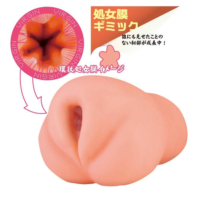 ç´æ½ã®ãããã -é²å-(Tight Innocent Pussy -Evolution-) ååèª¬æç»å2