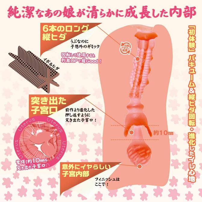 ç´æ½ã®ãããã -é²å-(Tight Innocent Pussy -Evolution-) ååèª¬æç»å3