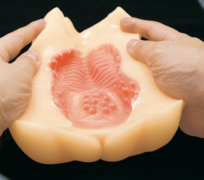 サキュバス眼鏡メイドの肉厚ワレメ	TMPR-005 商品説明画像10