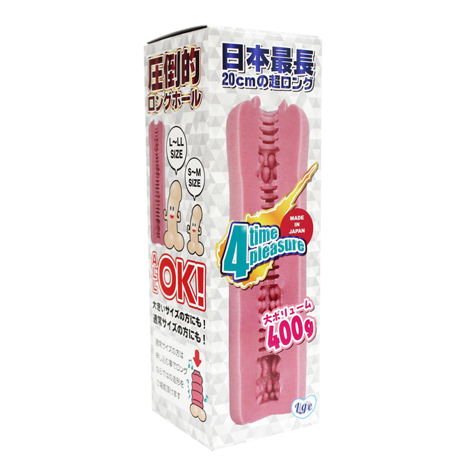 Ligre japan　20cmホール　４タイムプレジャー 商品説明画像1