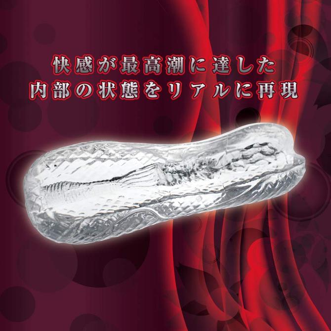 R-iSM リズム タイプ オルガ(R-iSM type-orgasm) 商品説明画像3