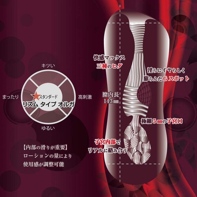 R-iSM リズム タイプ オルガ(R-iSM type-orgasm) 商品説明画像4