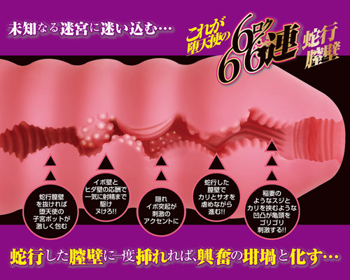 6連蛇行膣壁(クランク)　カリ責ベリアル 商品説明画像3