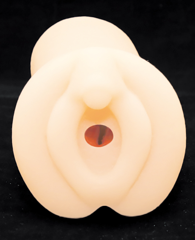 肉便器と化したクラス委員長	TMPR-009 商品説明画像3
