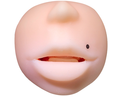 FACE 加藤紗里 商品説明画像3