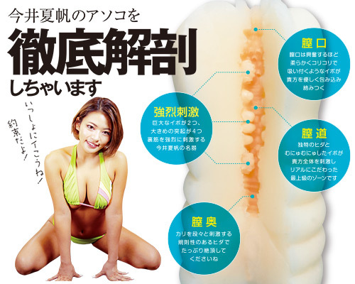 今井夏帆のポルチオ本気秘部 商品説明画像5