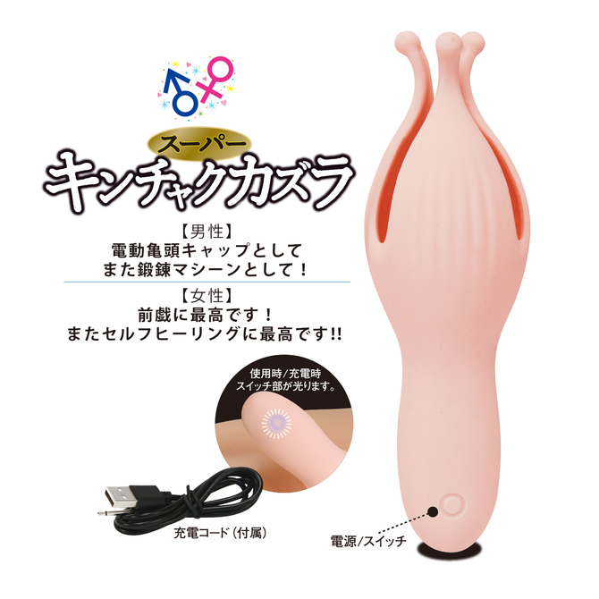 スーパー・キンチャクカズラ 商品説明画像2