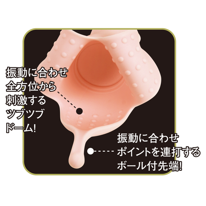 スーパー・キンチャクカズラ 商品説明画像4