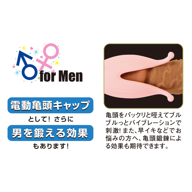 スーパー・キンチャクカズラ 商品説明画像6