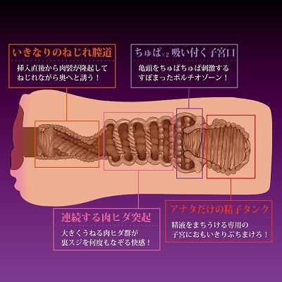 お隣の淫乱奥さまは俺の肉便器 商品説明画像3