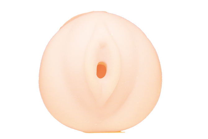 【限定100ポイント還元！・7月22日まで】異類婚姻譚　志津	TMT-1385 商品説明画像3