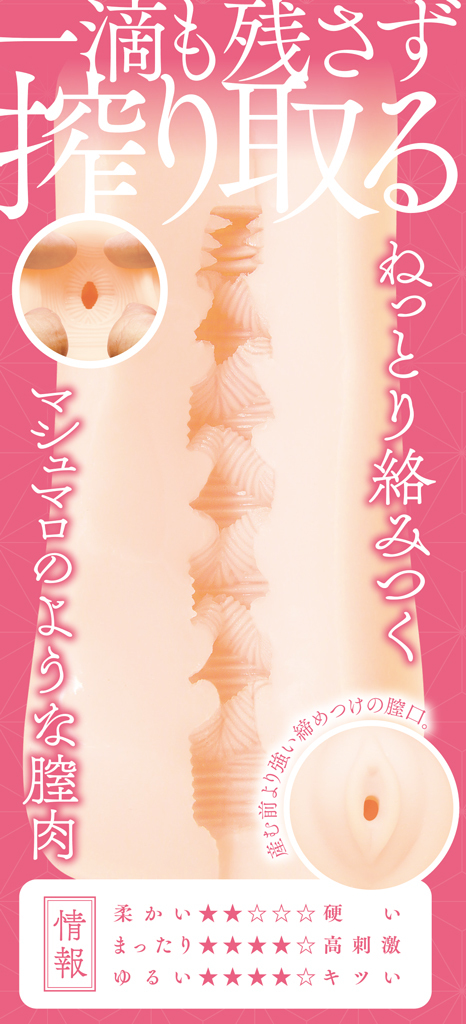 【限定100ポイント還元！・7月22日まで】異類婚姻譚　志津	TMT-1385 商品説明画像5