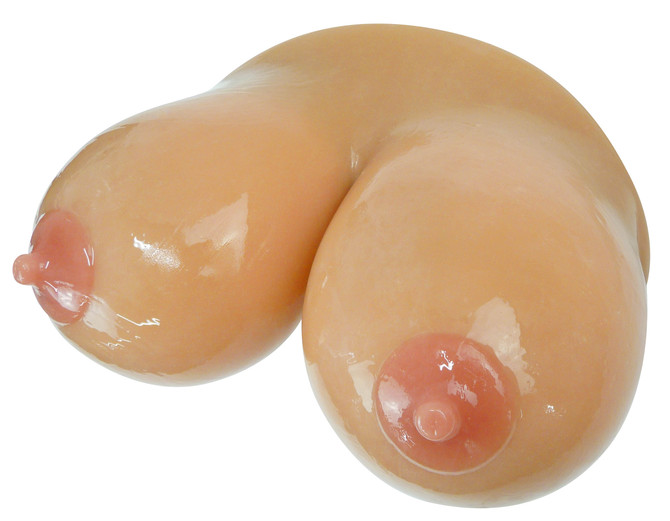 【予約限定1500ポイント還元！・10月16日頃発送予定】こんがりおっぱい　チチヤケタ 商品説明画像2