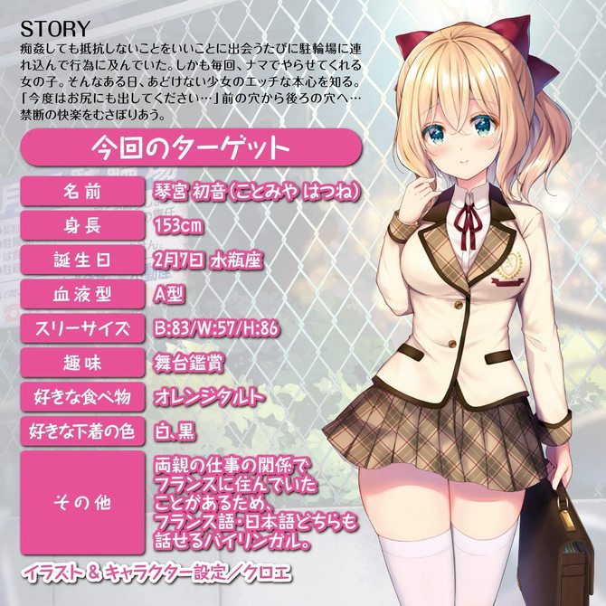 ナチュラルハイ 2穴OK娘　    NHTOY-006 商品説明画像5