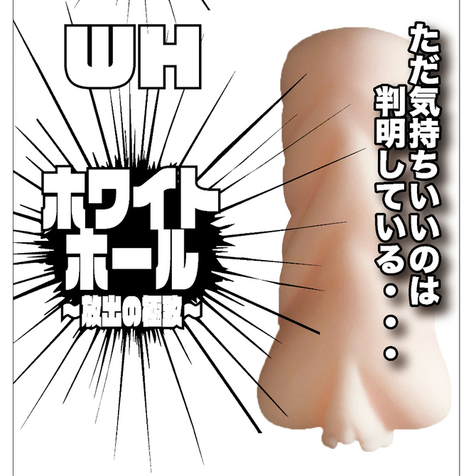 ホワイトホール～放出の極致～ 商品説明画像2