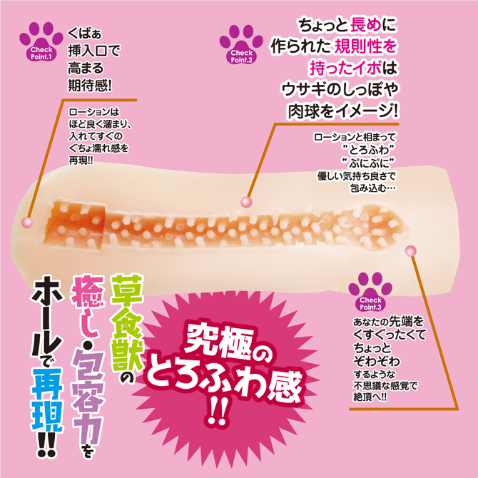淫獣王国(びーすとキングダム)に転生した俺はもはや彼女達の性玩具(おもちゃ) らびっと LKO-014 商品説明画像2