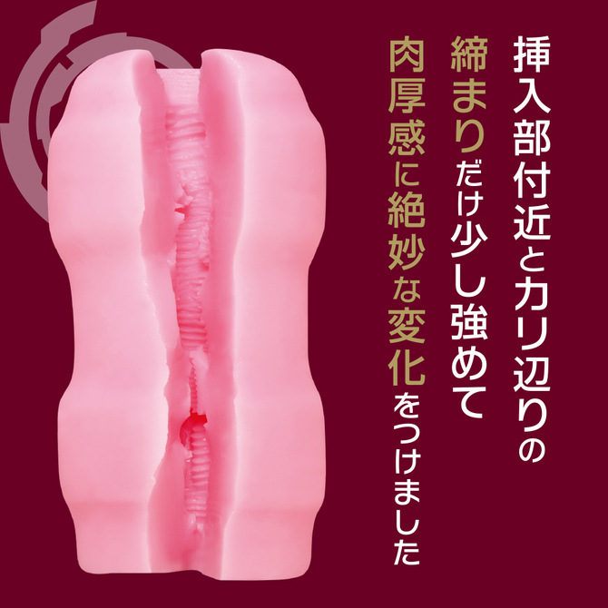 ダーヒー無双 商品説明画像4