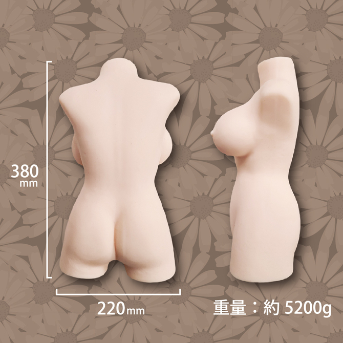 日本品質大型ホール　「明日花～アスカ～」 商品説明画像4