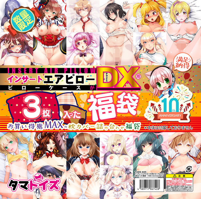 インサートエアピローDX用ピローケースが3枚入った福袋　10th Anniversary	TAMS-825 商品説明画像1