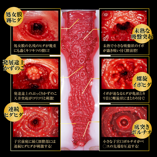 名器純情 松本いちか 商品説明画像7