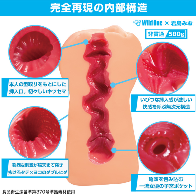 日本の名器　君島みお 商品説明画像5