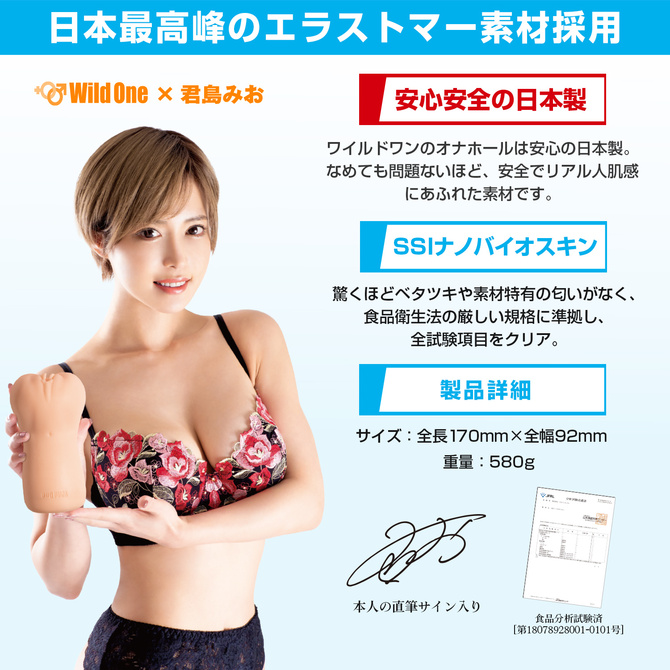 日本の名器　君島みお 商品説明画像7