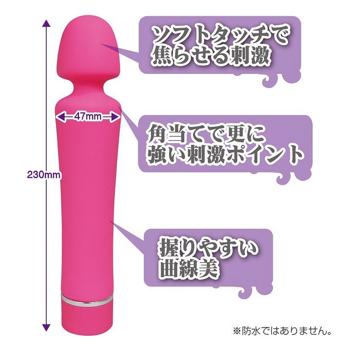 ミネルヴァ(MINERVA) 商品説明画像3