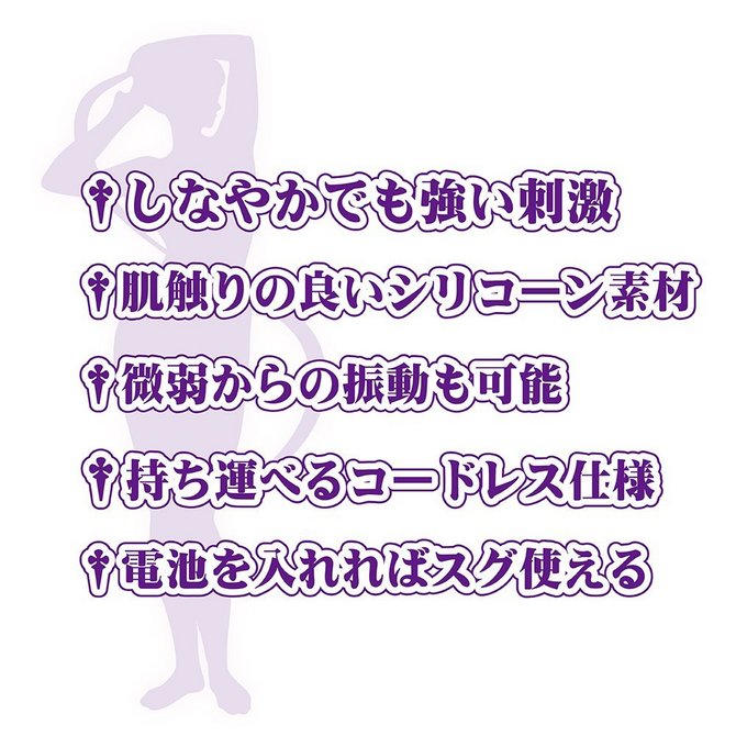 ミネルヴァ(MINERVA) 商品説明画像5