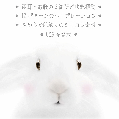 白うさこ 商品説明画像5