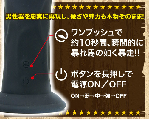 ロデオマン 商品説明画像4