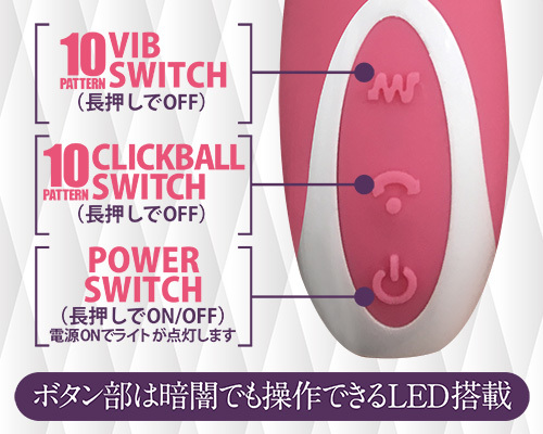 アピチェ 商品説明画像6
