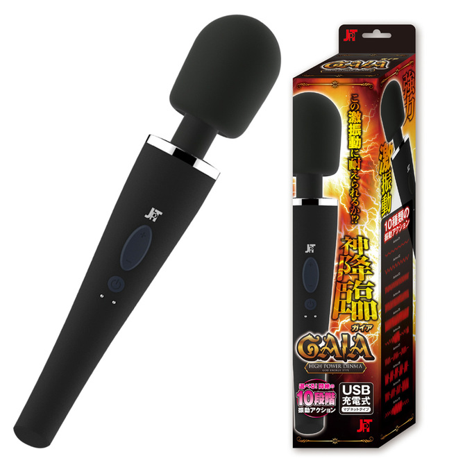 【50～60％OFF!】【半額以下タイムセール!1月31日まで】GAIA	ガイア	2JT-RT020 商品説明画像1