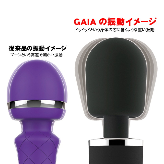 【50～60％OFF!】【半額以下タイムセール!1月31日まで】GAIA	ガイア	2JT-RT020 商品説明画像5