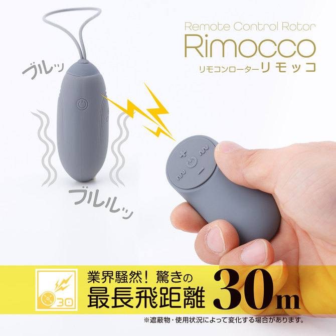 リモッコ グレイ 商品説明画像4