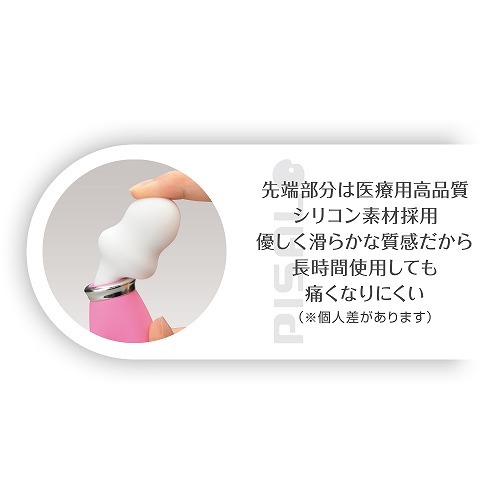 ピサロ ブル ◇ 商品説明画像5