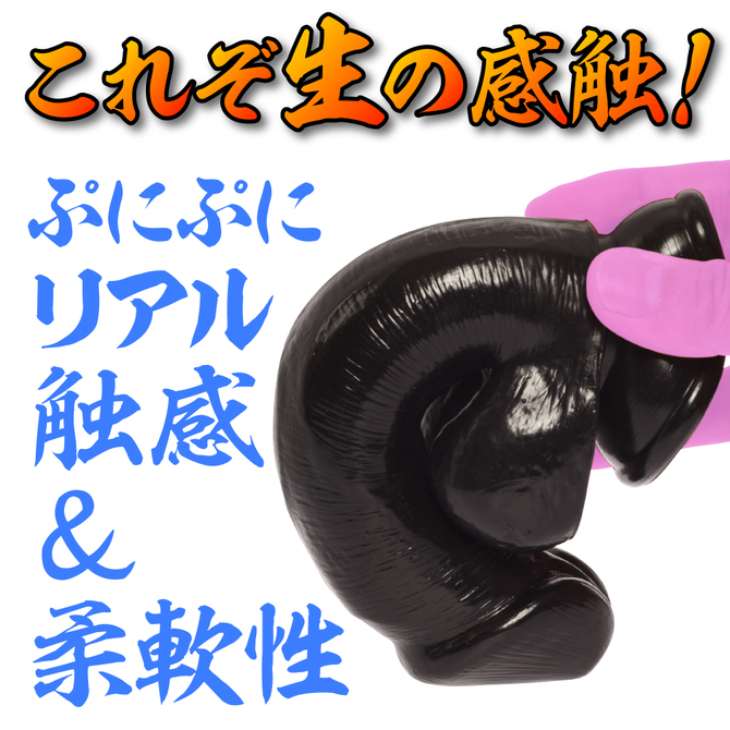 maccos MARAMARA 色欲の魔羅 02 ブラック【全長17cm色欲に溺れるリアルな外観と感触のディルド！ 強力吸盤でしっかり固定！ハンズフリー対応！初心者～上級者まで！】 商品説明画像3