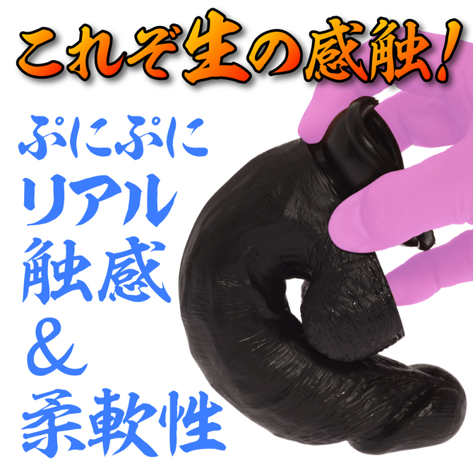 maccos MARAMARA 色欲の魔羅 03 ブラック【全長18cm色欲に溺れるリアルな外観と感触のディルド！ 強力吸盤でしっかり固定！ハンズフリー対応！初心者～上級者まで！】 商品説明画像3