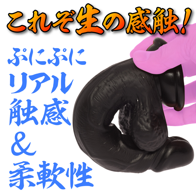maccos MARAMARA 色欲の魔羅 04 ブラック【全長19cm色欲に溺れるリアルな外観と感触のディルド！ 強力吸盤でしっかり固定！ハンズフリー対応！初心者～上級者まで！】 商品説明画像3