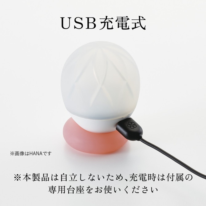 iroha ukidama たけ 初回限定セット （イロハ ウキダマ タケ ショカイゲンテイセット）HMU-01S 商品説明画像7