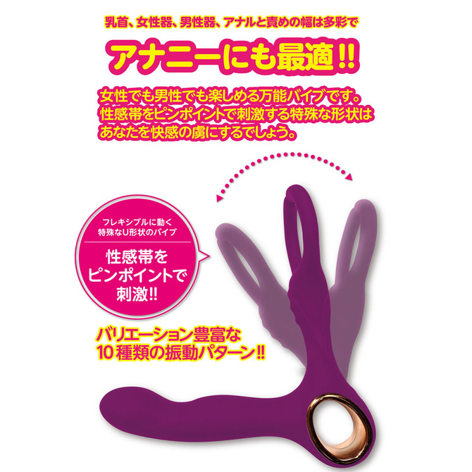violette　ヴィオレット 商品説明画像3
