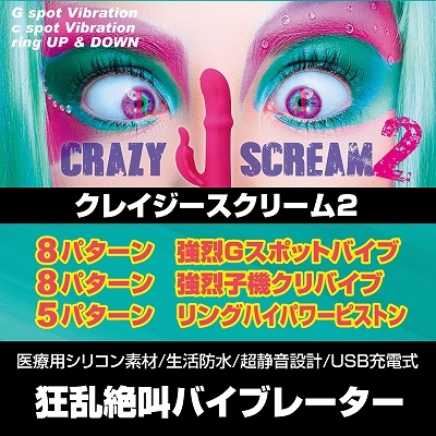 クレイジースクリーム2 商品説明画像4