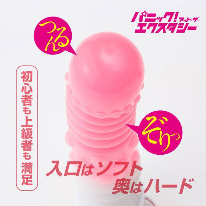 パニック！アット・ザ・エクスタシー 商品説明画像5