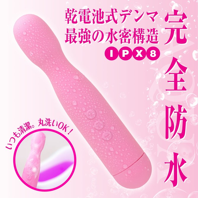 ピンクデンマ アクア2020 ◇ 商品説明画像3