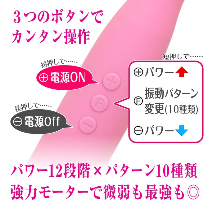 ピンクデンマ アクア2020 ◇ 商品説明画像5