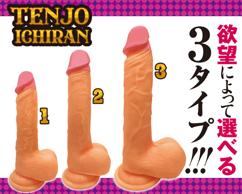 天上一乱1 商品説明画像7