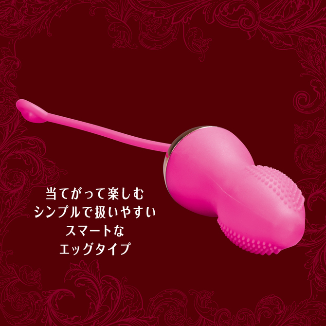 Dualady　2WAYワイヤレスローター     TBSP-062 商品説明画像4
